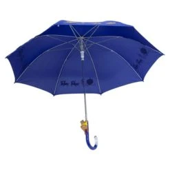 Cinderella Umbrella (Pop Culture Accessories)