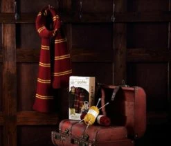 Gryffindor House Scarf: Harry Potter Knit Kit (Craft Kits)