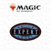 Expert Level Magic The Gathering Limited Edition Pin Badge (Pop Culture Accessories)