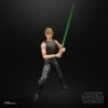 Luke Skywalker & Ysalamiri 6"50Th Anniversary: Star Wars: Black Series Action Figure (Action Figure)