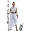 1:6 Rey And D-O Figure Set - Star Wars: Rise Of Skywalker Hot Toys Figure (Figurine) -MERCHANDISE Sales cecefb08 a5a3 429e 8627 7d1a585e62f4